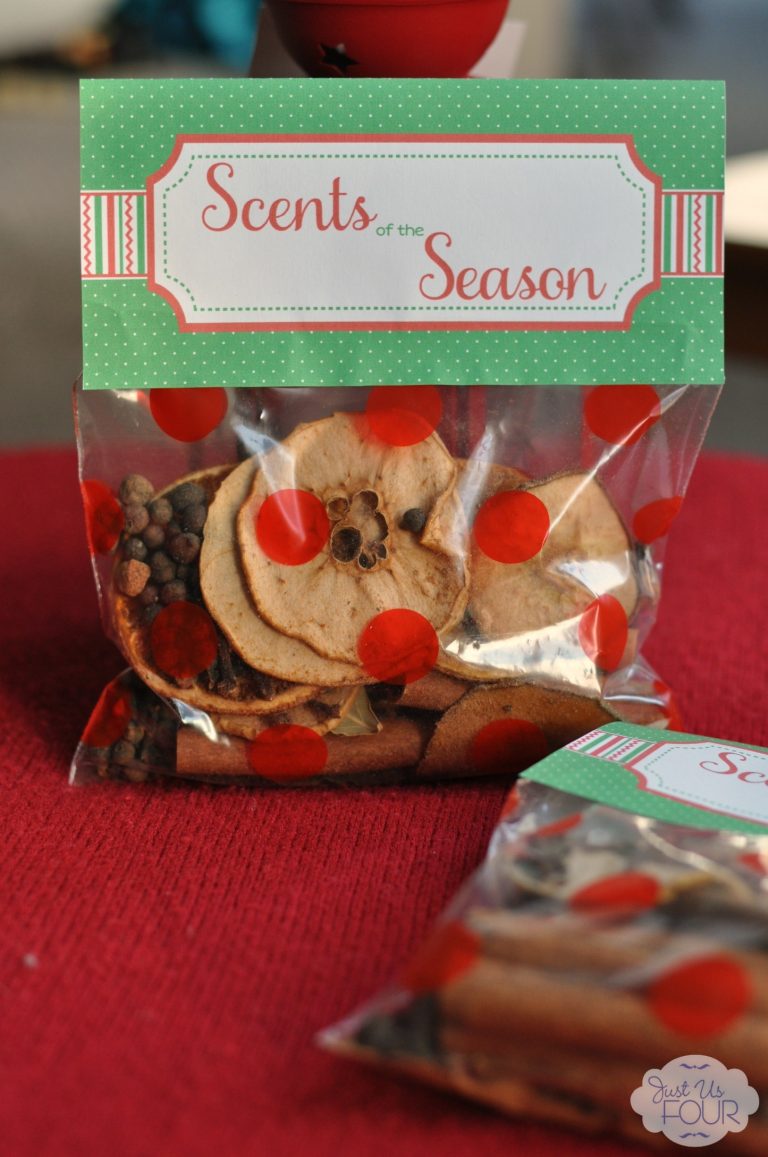 Scents of the Season - Dried Fruit Potpourri - My Suburban Kitchen