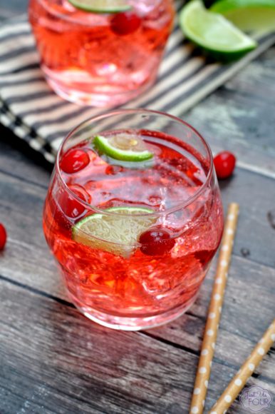 Cranberry Lime Vodka Tonic - Vodka Mixed Drinks