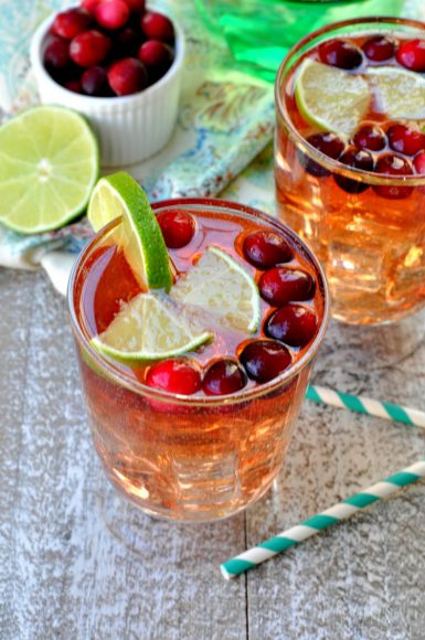 Cranberry Lime Spritzer - My Suburban Kitchen